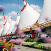 Ashford tents