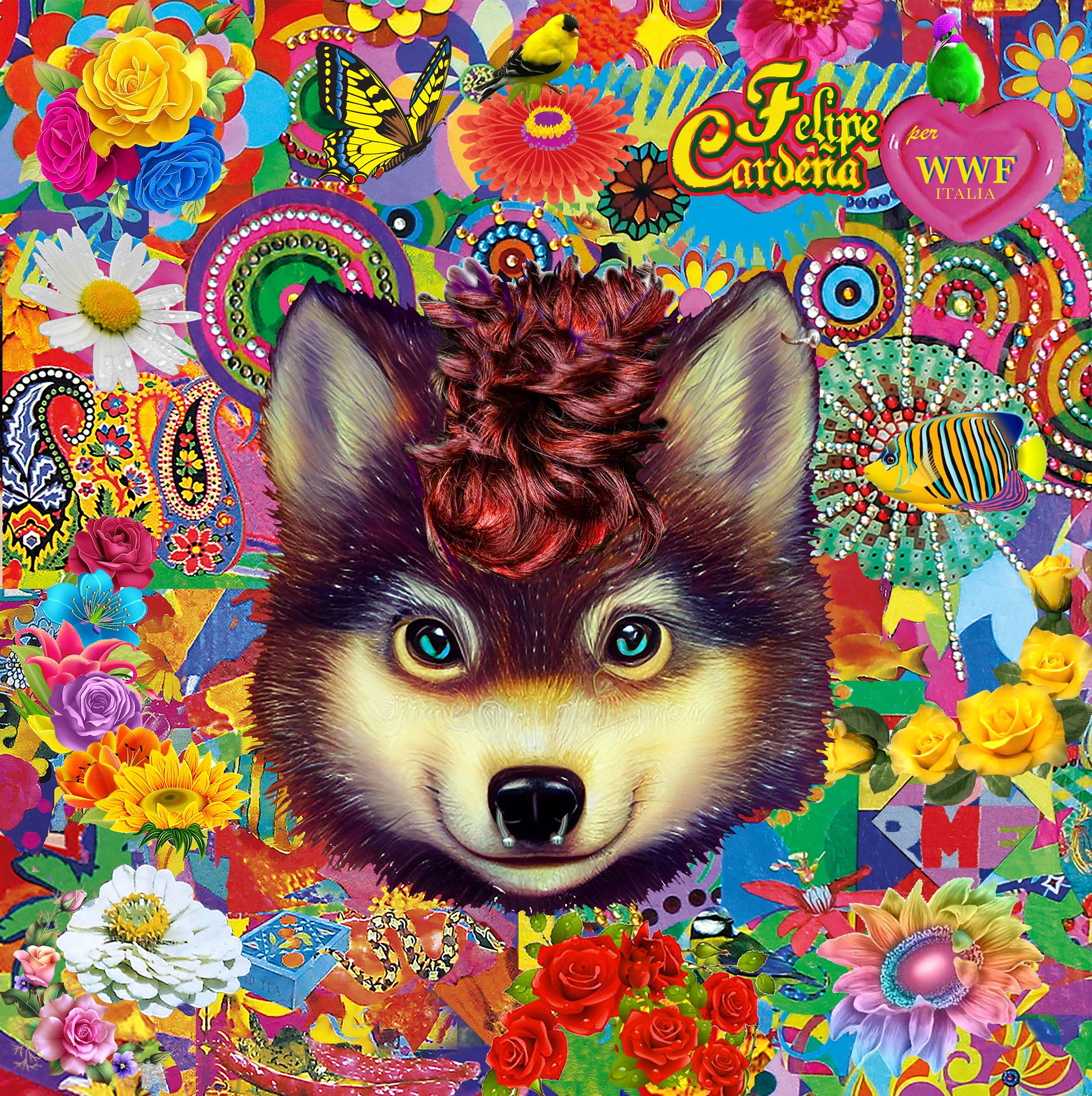 Oasi | Merchandising