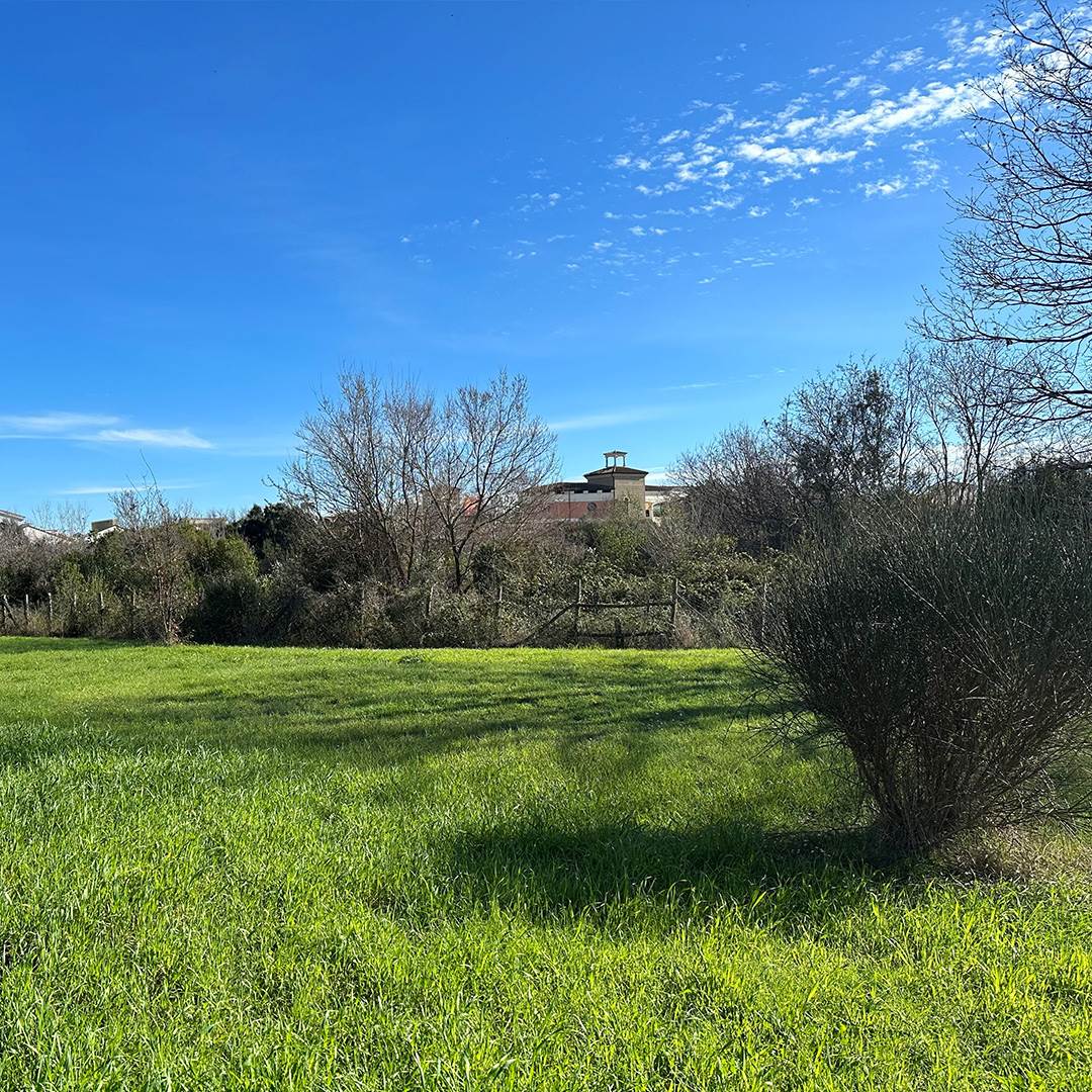 Oasi | Castel Romano Designer Outlet | Bosco Mediterraneo